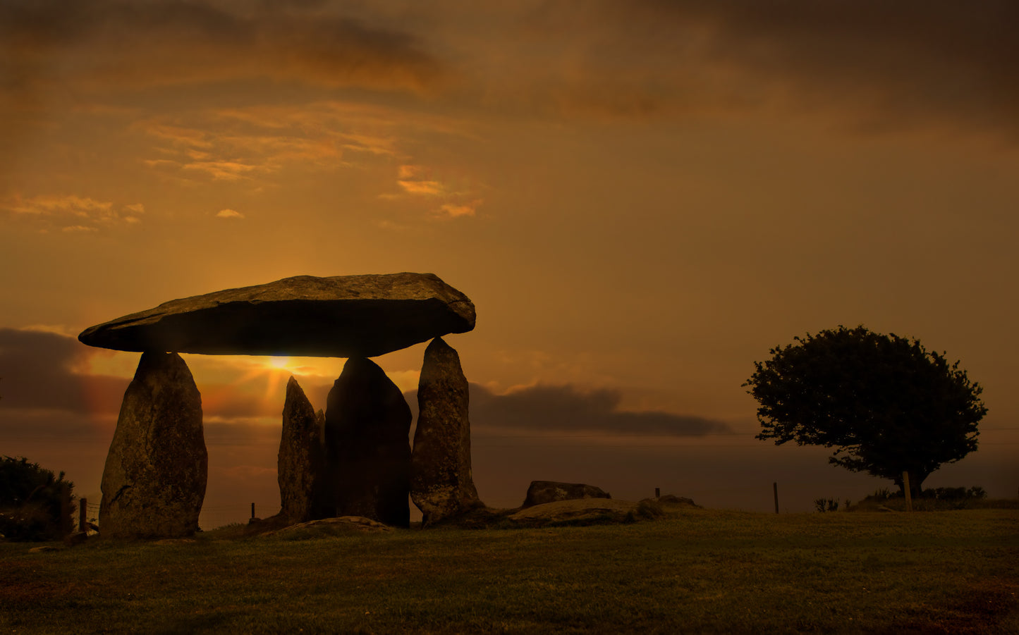 Core-gonite Kado Bon
