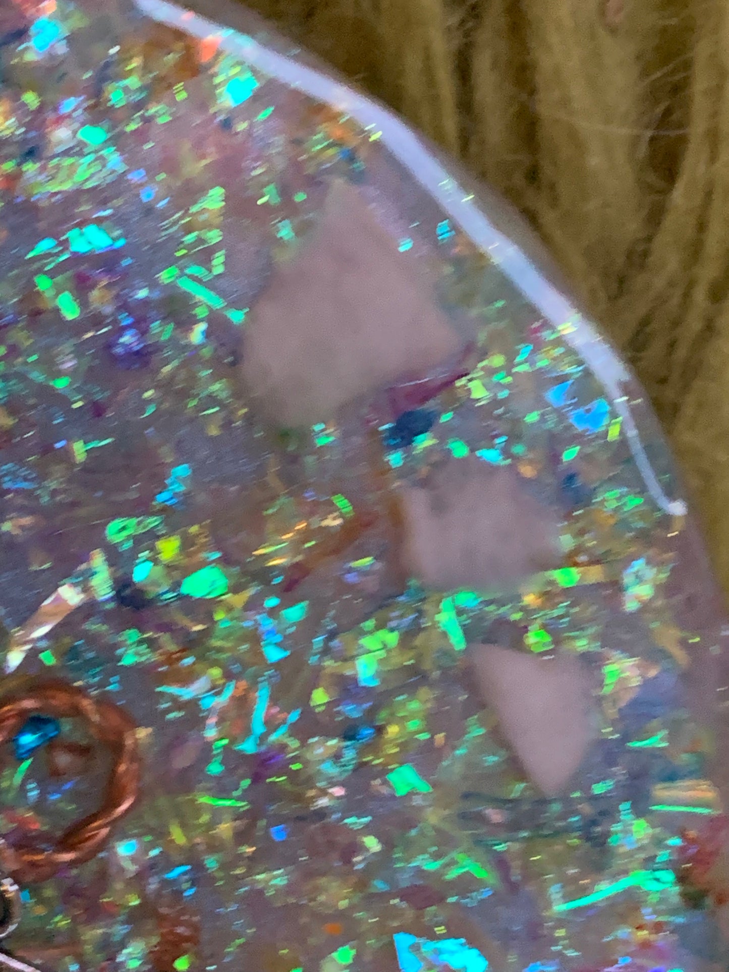 The Butterfly Harmony