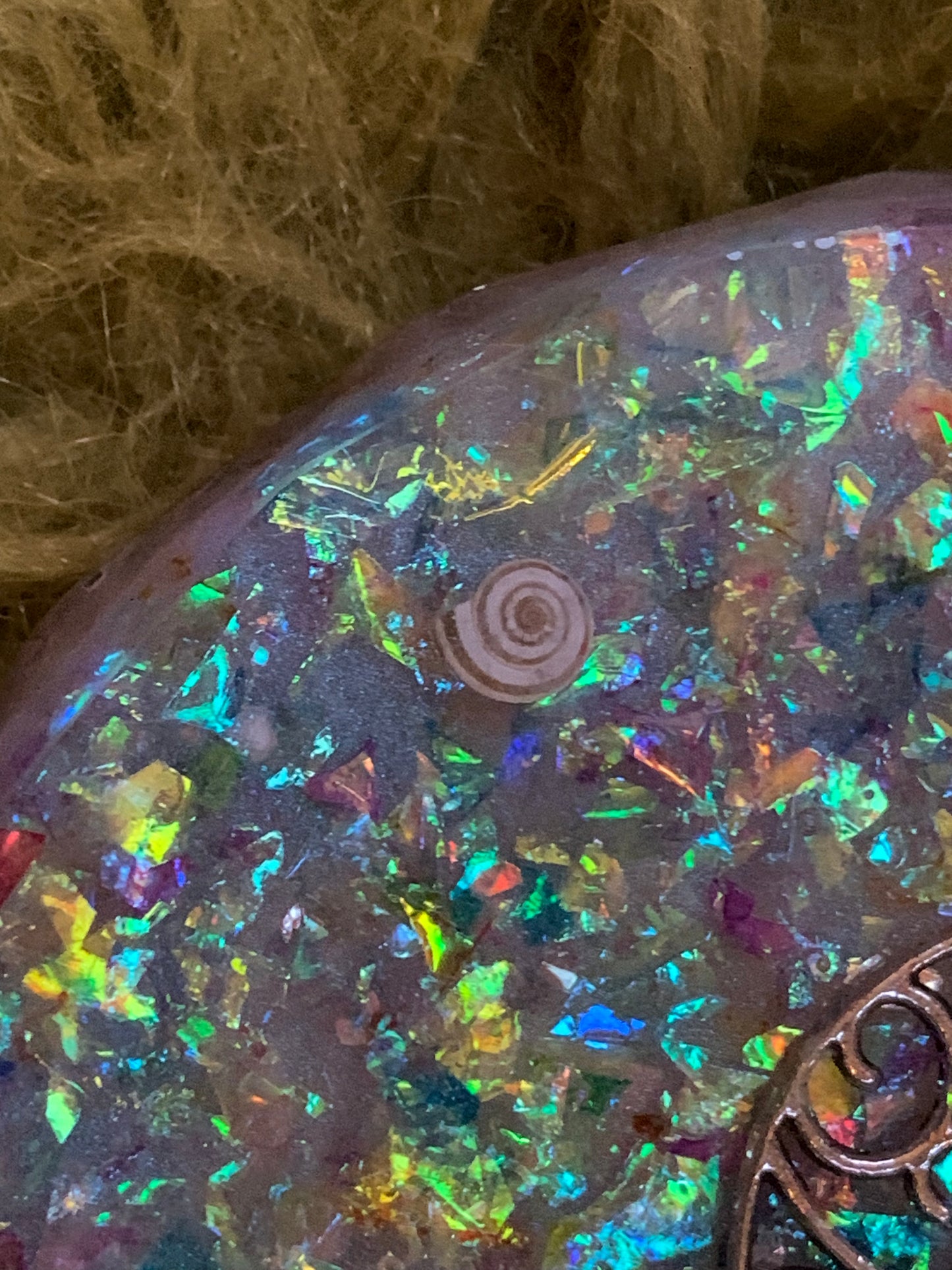 The Butterfly Harmony