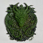 Green dragon, amulet